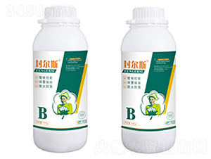 �⠖˹B-�޻�����-�κ��r�I