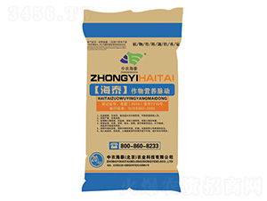 ��̩����I�B�}��-���r��̩