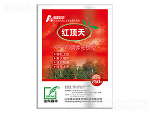 �t���-���S