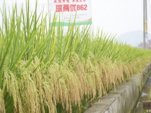 ��Ƀ�862-ˮ���N��-����N�I