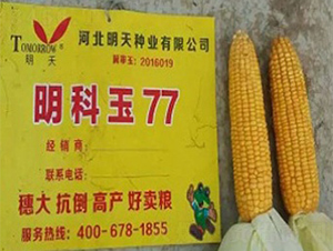 ������77-���׷N��-����N�I