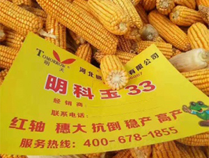 ������33-���׷N��-����N�I(y��)