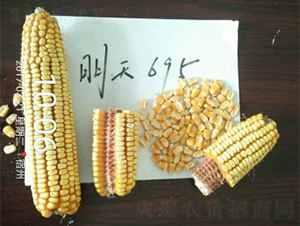 ����695-���׷N��-����N�I