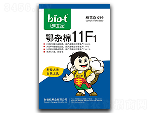 ���s��11F1-�޻��N��-�����o