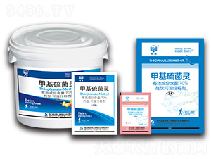 70%�׻�����`�ɝ��Էۄ�-�L��-�����r��