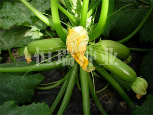 ������-�����J�N��-����N�I