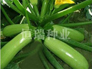 �GԪ��-�����J�N��-����N�I