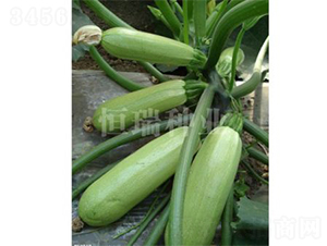 ���-�����J�N��-����N�I