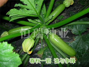 ��˹���_-�����J�N��-����N�I