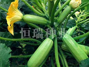 ѩ��I-�����J�N��-����N�I