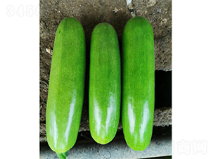 ���_����-�����J�N��-����N�I