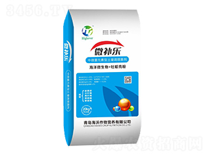 ��΢��Ԫ���������{������-΢�a��-����