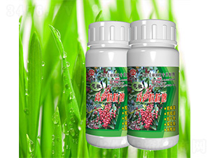 �����߮a�����-˹�ؿ�