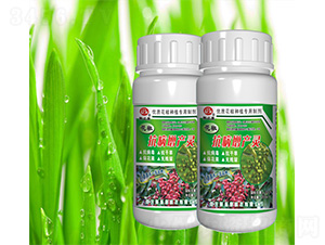 �����������a�`-˹�ؿ�