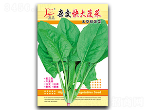 �s����󲤲�-���˷N��-�}�ʷN�I