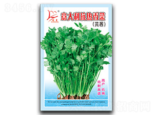 �������������-��˷N��-�}�ʷN�I