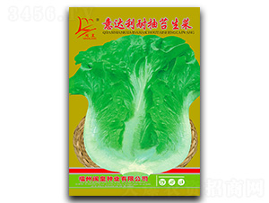 ���_���ͳ�̦����-���˷N��-�}�ʷN�I