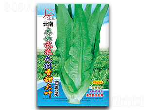 ������~-�����˷N��-�}�ʷN�I