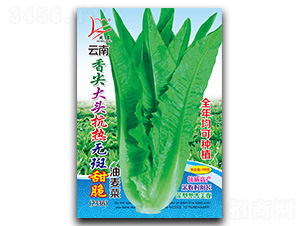 �����^����o�����������-�����˷N��-�}�ʷN�I