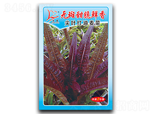 ���~�t������-�����˷N��-�}�ʷN�I