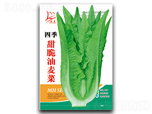 ���������-�����˷N��-�}�ʷN�I