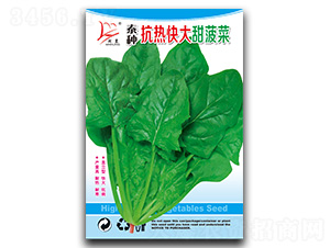 ̩�N�������𲤲�-���˷N��-�}�ʷN�I