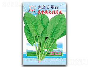 ̫��2̖-���˷N��-�}�ʷN�I