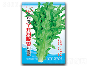 �ļ�Ѿ�_�����������-�����˷N��-�}�ʷN�I