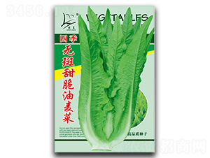 �ļ��o�����������-�����˷N��-�}�ʷN�I