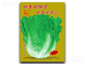 �ļ��ͳ�̦��������-���˷N��-�}�ʷN�I