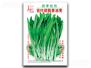 �ļ��������~���������-�����˷N��-�}�ʷN�I