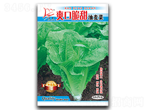 ˬ�ڴ���������-�����˷N��-�}�ʷN�I