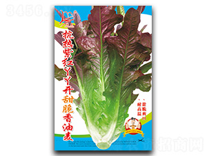 �����ϼtѾѾ�_���������-�����˷N��-�}�ʷN�I