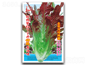 �����ϼtѾѾ�_������͇O-�����˷N��-�}�ʷN�I