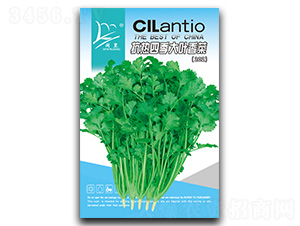 �����ļ����~���-��˷N��-�}�ʷN�I