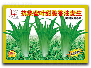 �������~���������-�����˷N��-�}�ʷN�I