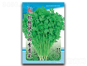 �������ļ����-��˷N��-�}�ʷN�I