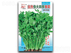 �������ļ�-��˷N��-�}�ʷN�I