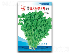 �������ļ����~���-��˷N��-�}�ʷN�I