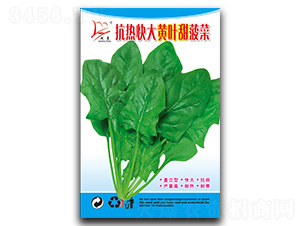 �������S�~�𲤲�-���˷N��-�}�ʷN�I