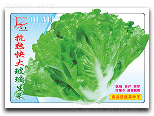 ������������-���˷N��-�}�ʷN�I