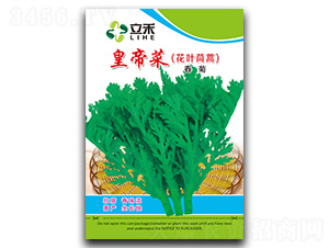 �ʵ۲�-����N��-�}�ʷN�I