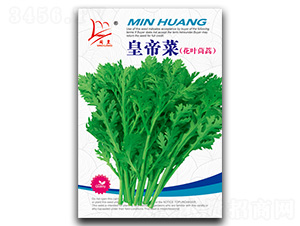 ���~����-����N��-�}�ʷN�I