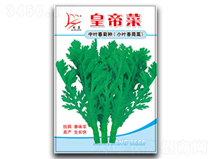 С�~������-����N��-�}�ʷN�I