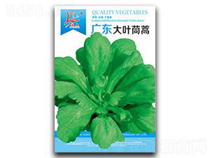 �V�|���~����-����N��-�}�ʷN�I