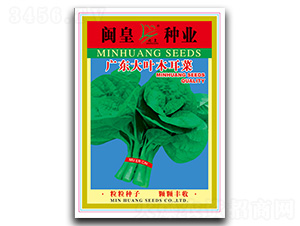 �V�|���~ľ����-ľ���˷N��-�}�ʷN�I