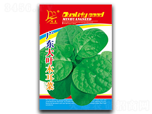 �V�|���~-ľ���˷N��-�}�ʷN�I