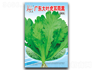 �V�|���~��������-����N��-�}�ʷN�I