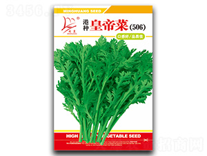 �۷N�ʵ۲�-����N��-�}�ʷN�I