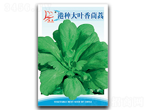 �۷N���~������-����N��-�}�ʷN�I